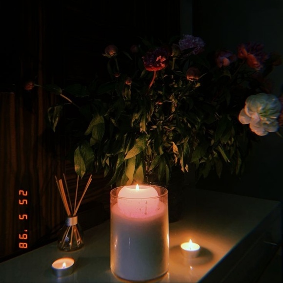 Meet your Posher, Paloma - Picture 1 of 1